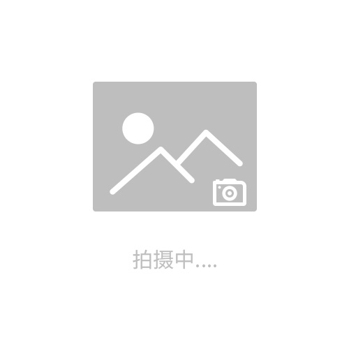 手輪式啟閉機(jī)